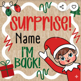 Hand Painted Custom Banner  DEPOSIT