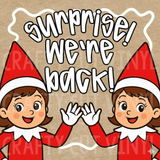 Hand Painted Custom Banner  DEPOSIT