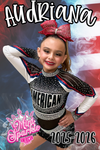 American Cheer Spirit Banner 2.5'x6'